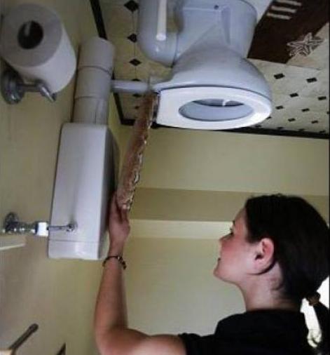 �W�������