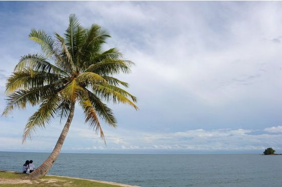 ���Rhttp://m.tasensoftware.com/new/63_256/2010_7_23_du39098105832701024914.shtml