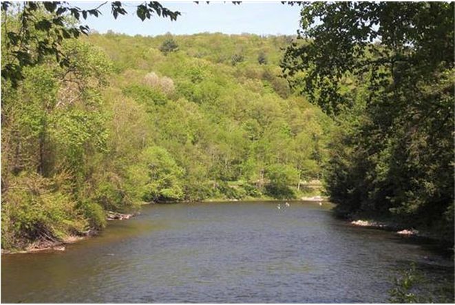 ���سǱ�http://m.tasensoftware.com/new/63_256/2010_7_27_du69253541161727010213230.shtml