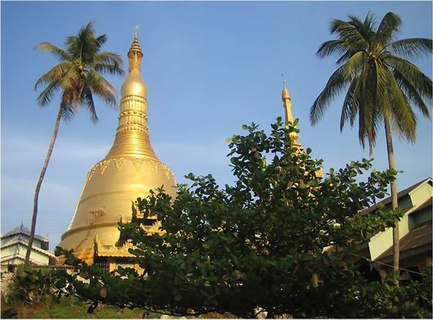 黃金的仰光大金寺http://m.tasensoftware.com/new/63_256/2010_8_13_du609801350131801024240.shtml