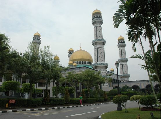 ��������������http://m.tasensoftware.com/new/63_256/2010_8_13_du4111835511318010218620.shtml