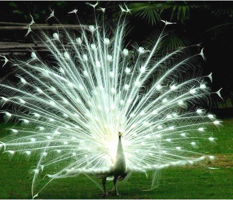 ���p��{�����鿂����http://m.tasensoftware.com/new/63_256/2010_8_18_du34514431818010237.shtml