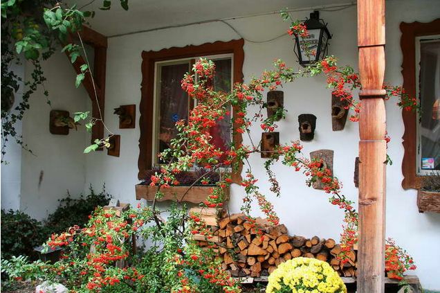 �W��������ʩ����http://m.tasensoftware.com/new/63_256/2010_8_23_du0134313280102128.shtml