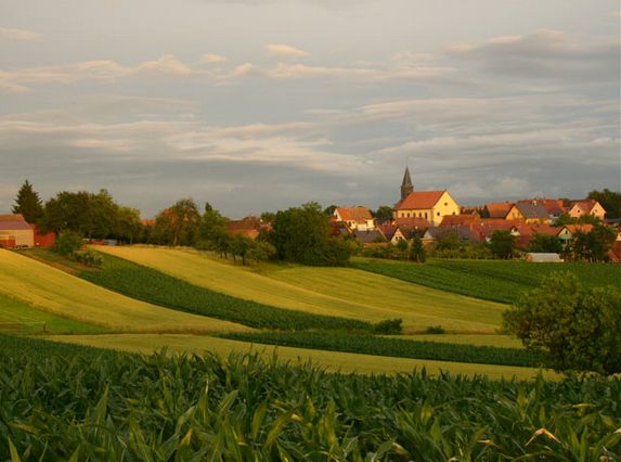 維也納的小鄉(xiāng)村http://m.tasensoftware.com/new/63_256/2010_8_23_du47331265132801025943.shtml