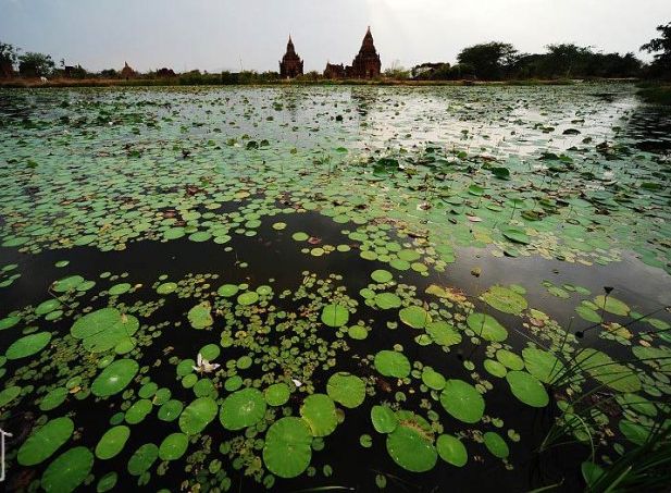 �������Ǽ����A�Ƶ꣺����ķ�ʌm�Ƶ�