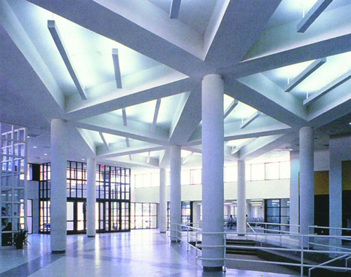 ��(g��)�ԵĽ���������