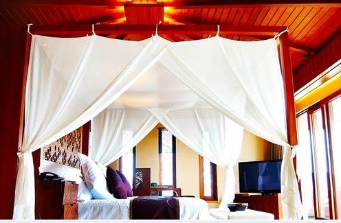 �R���v5000�fԪ������լ�����