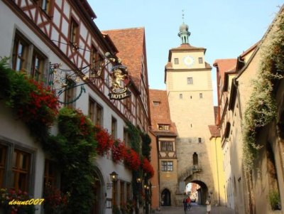 ���_�v������������ �B͸�ŵ�