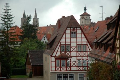 ���_�v������������ �B͸�ŵ�