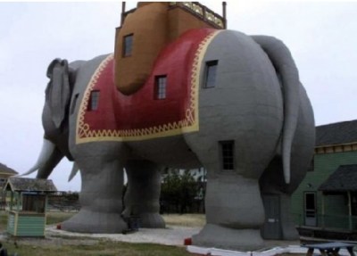 �����������