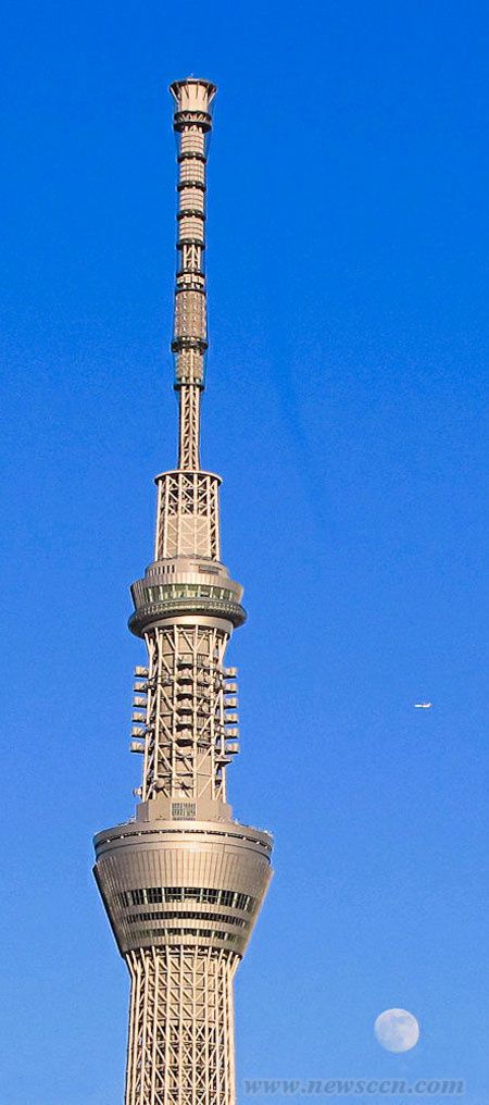 �|����՘�