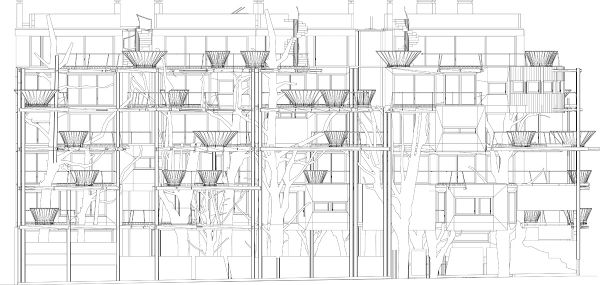 ����������Z�ĳ��И���