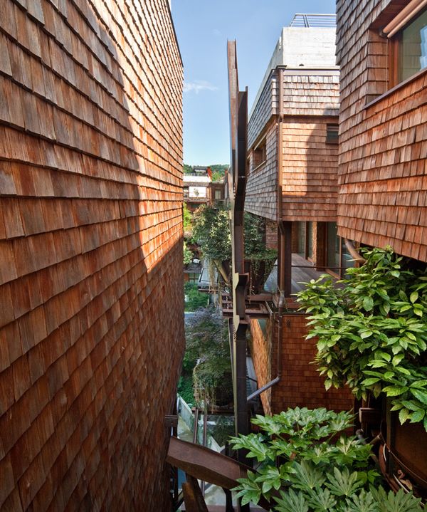 ���~��ľ�߸��w�≦