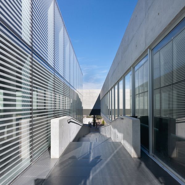 西班牙馬德里 德利布大學(xué)