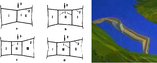 二級建造師水利實務知識點：導流方法