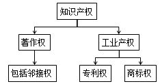 知識(shí)點(diǎn)權(quán)的常見(jiàn)種類(lèi)